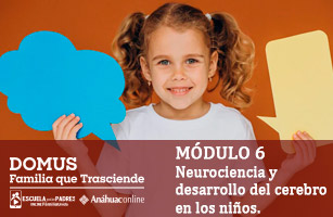 Neurociencia y desarrollo del cerebro en los niños.
